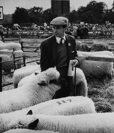 Jim au milieu de ses moutons entre 2 courses