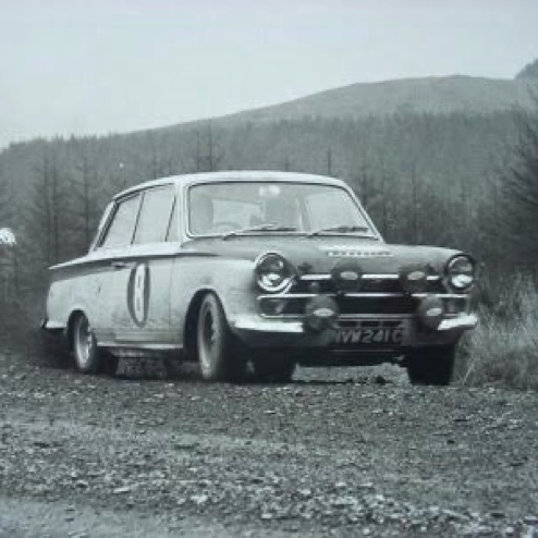 La Cortina Lotus N°8